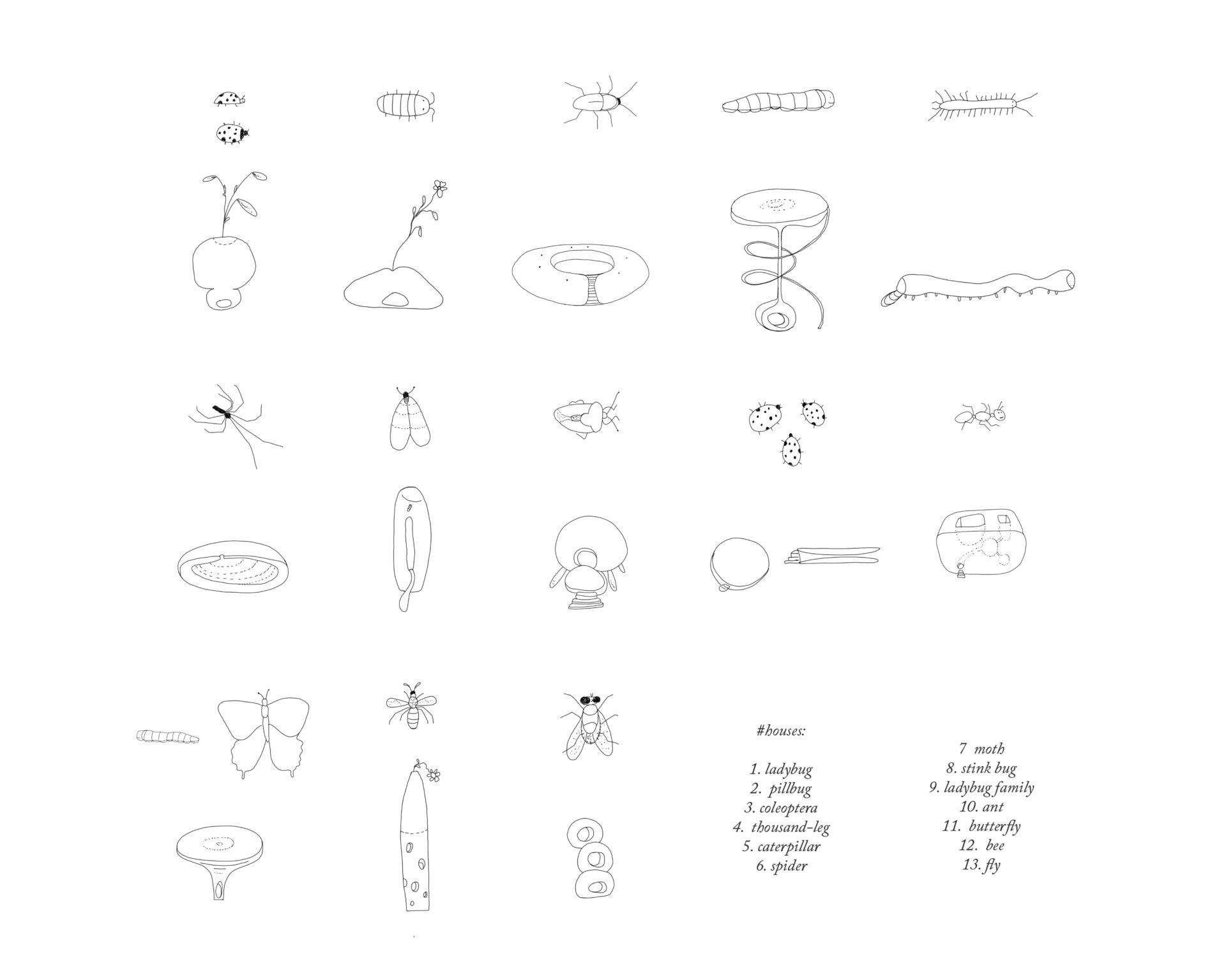 Stories on Earth: A Collective Voice for the Human and Non-Human