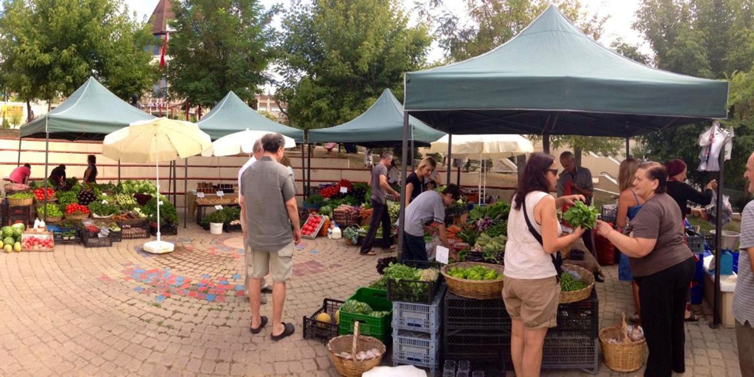Neighbourhood Forums as Mediums of Direct Democracy in Istanbul