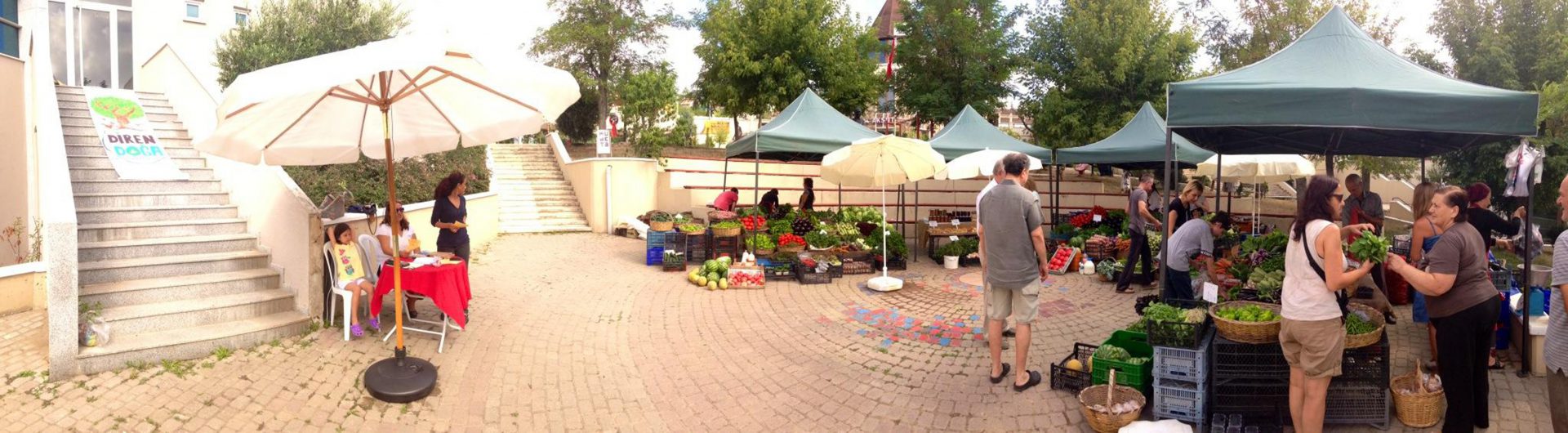 Neighbourhood Forums as Mediums of Direct Democracy in Istanbul