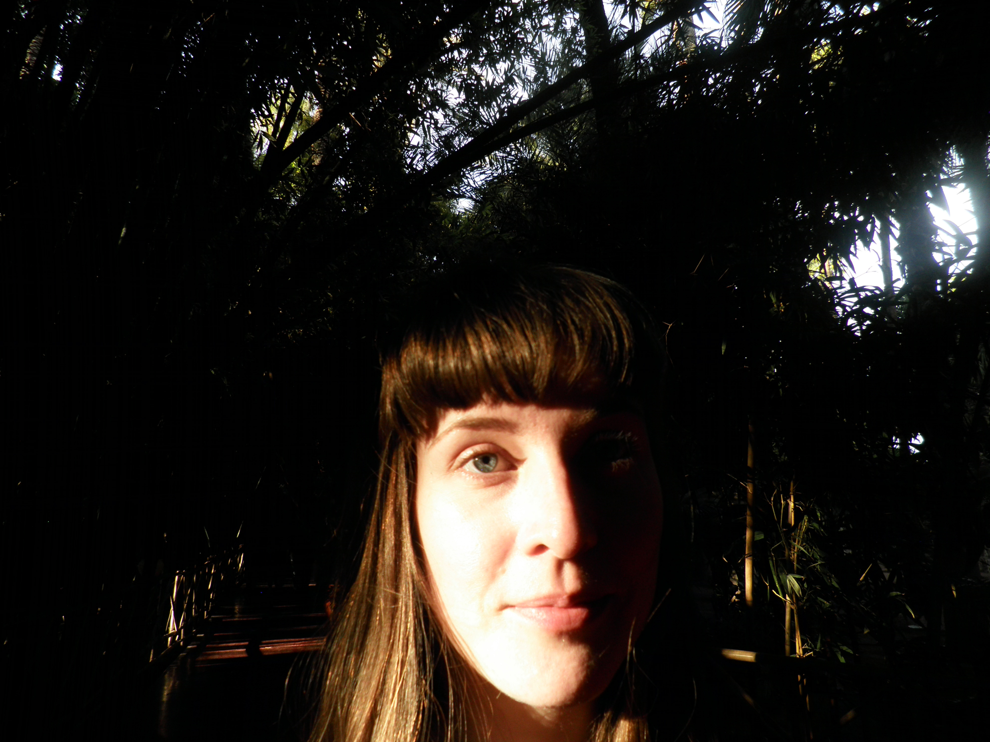 Resisting Phnom Penh’s Beautification Plan