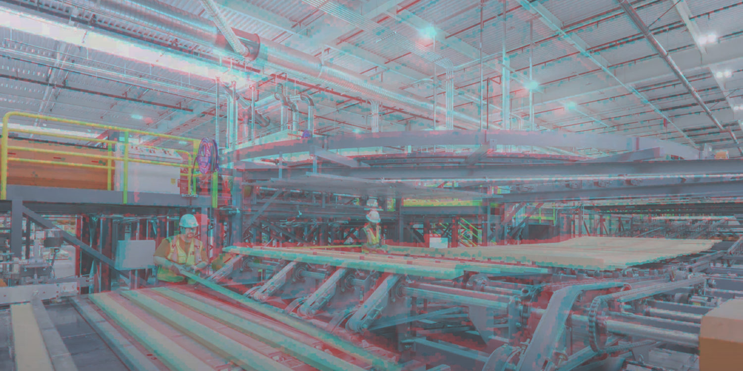 Mass Timber in the Age of Mass Extinction